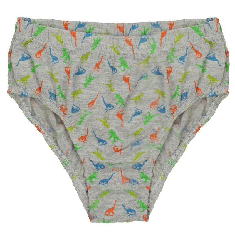 Tom Franks Boys 7 Pack Dinosaur Briefs