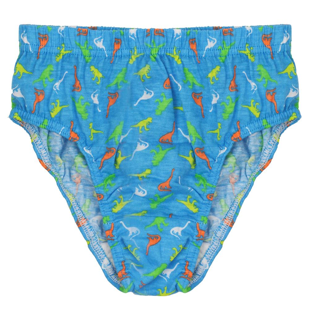 Tom Franks Boys 7 Pack Dinosaur Briefs