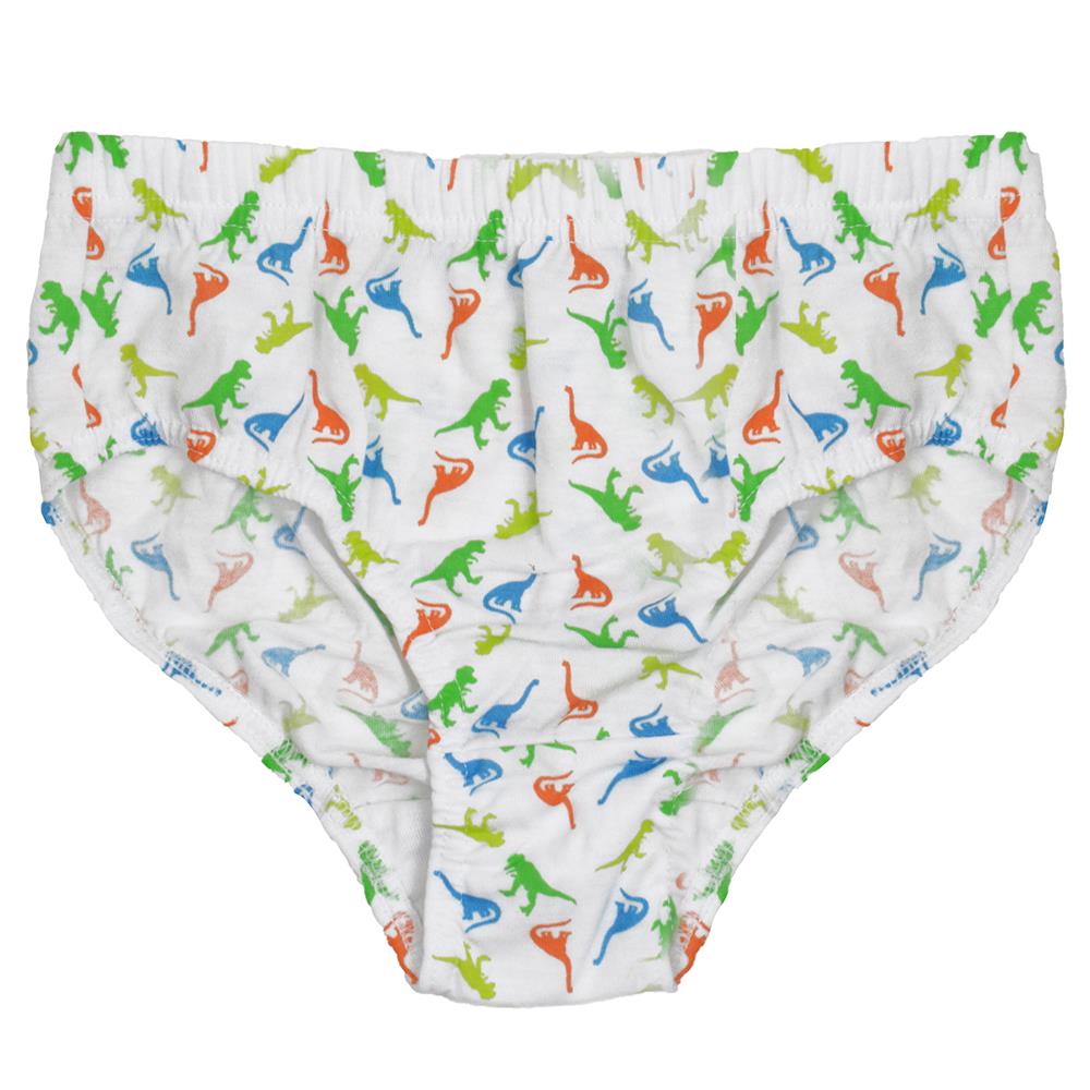 Tom Franks Boys 7 Pack Dinosaur Briefs